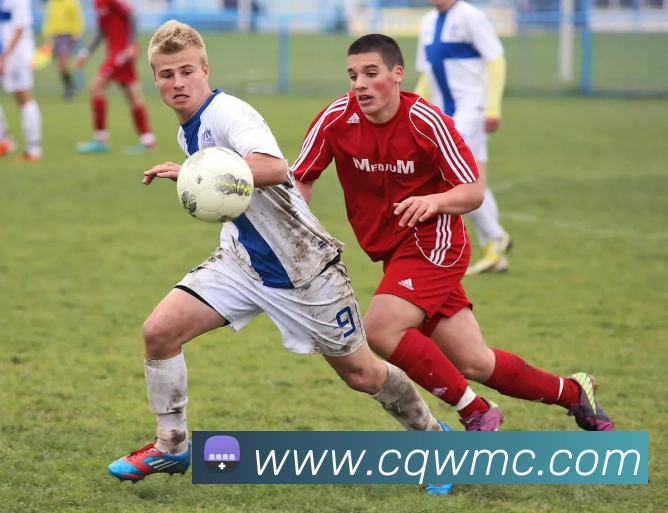 美彩国际APP 高清赛事图