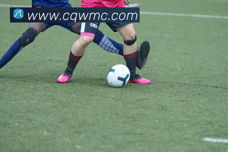 美彩国际APP 封面图